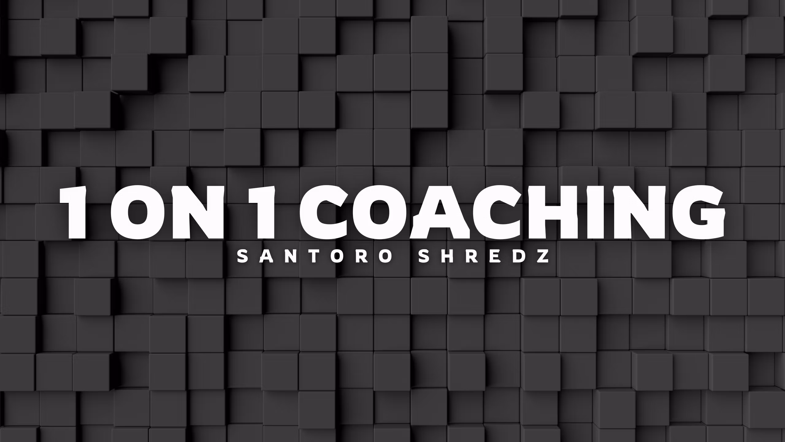 1 on 1 Coaching 