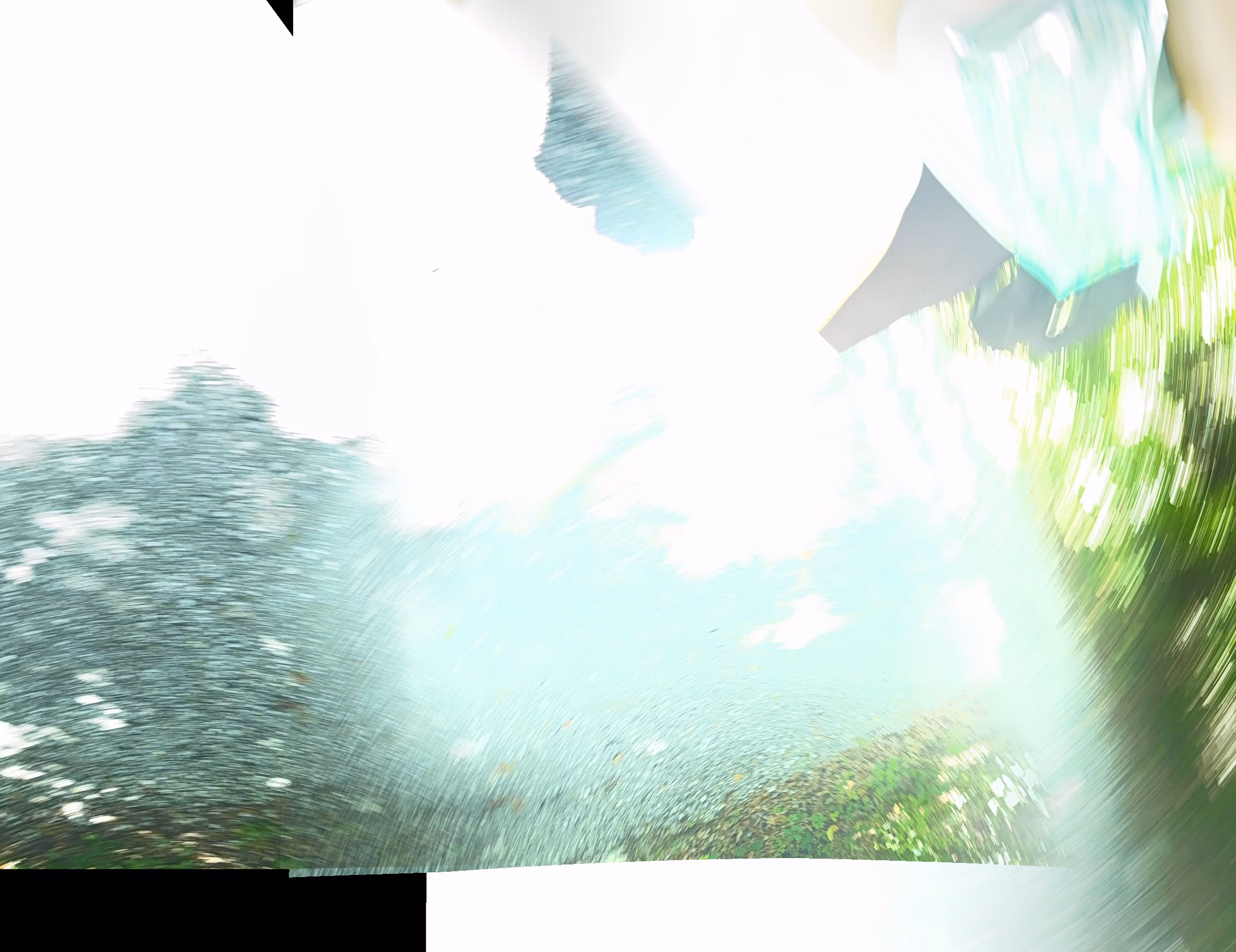 Blues blitz paradise