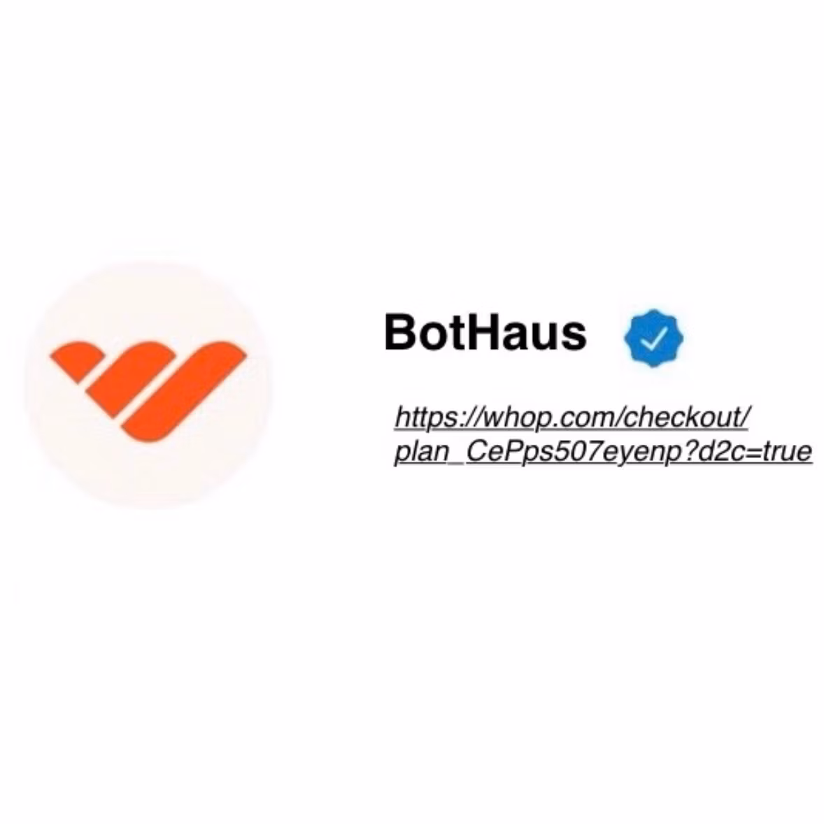 BotHaus⏳