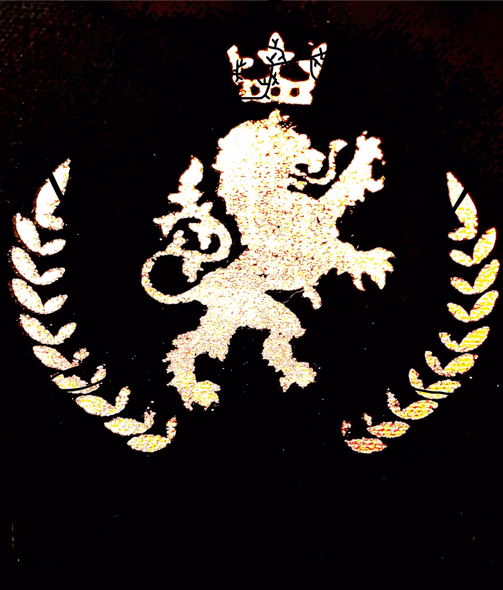 Crypto For Beginners 