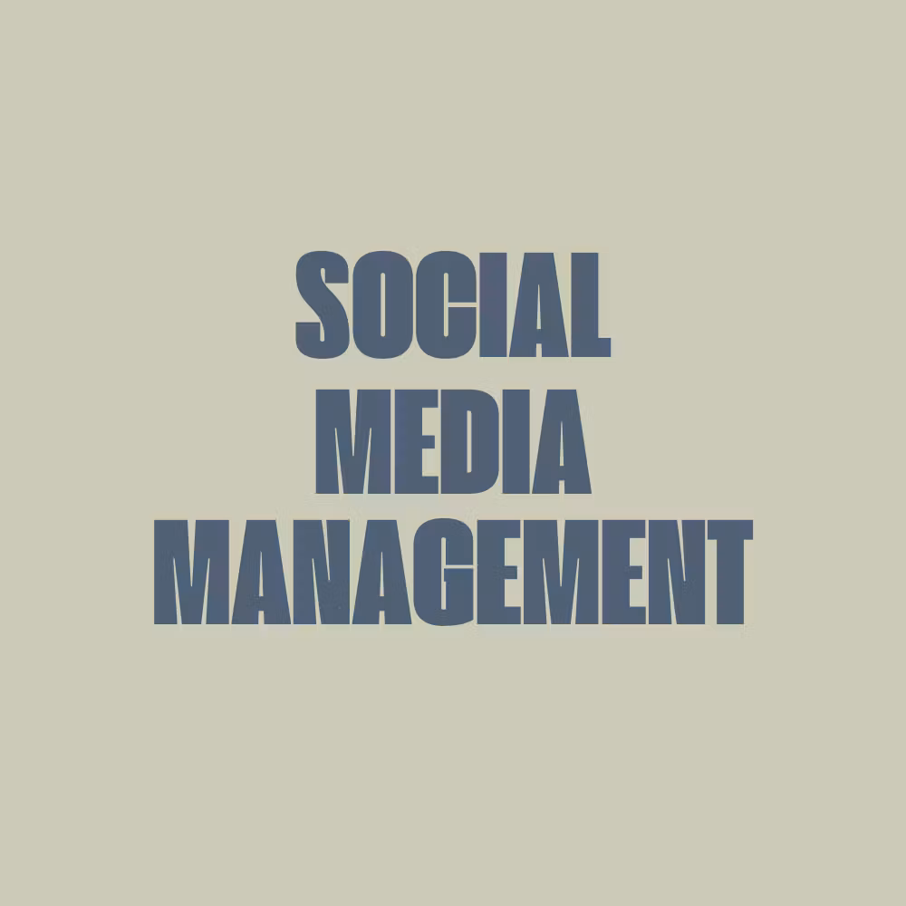 Social Media Management (3)