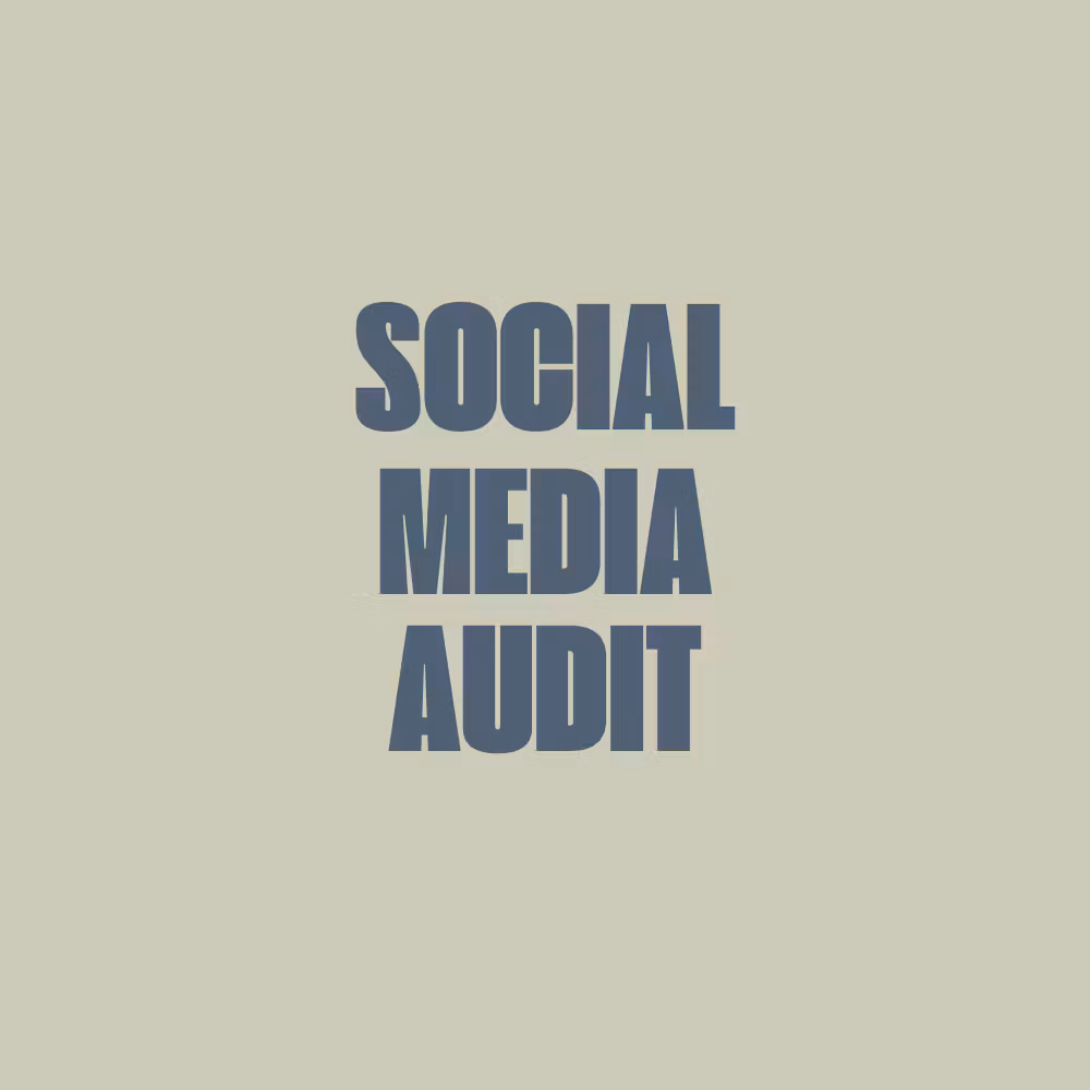 Social Media Audit