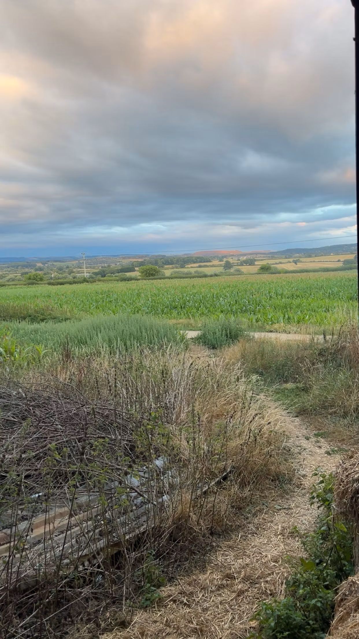 simons smithy business 