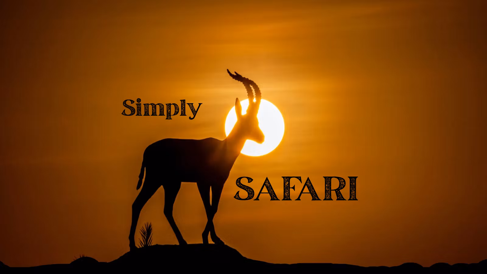 Simply Safari