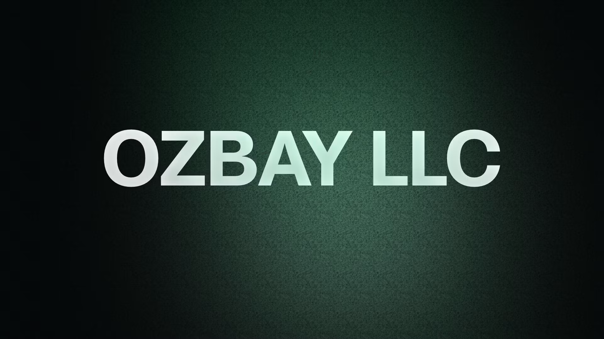 OZBAY LLC