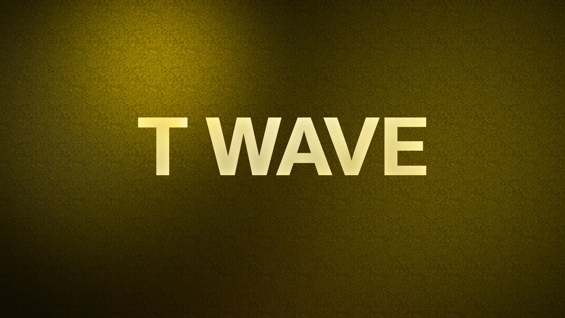 T WAVE Eco Surf Hoodie