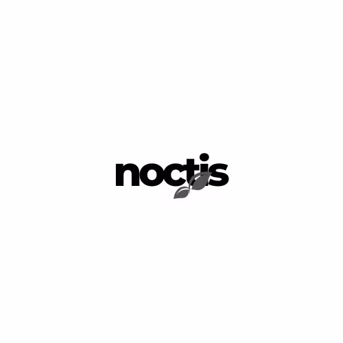 Noctis Entertainment