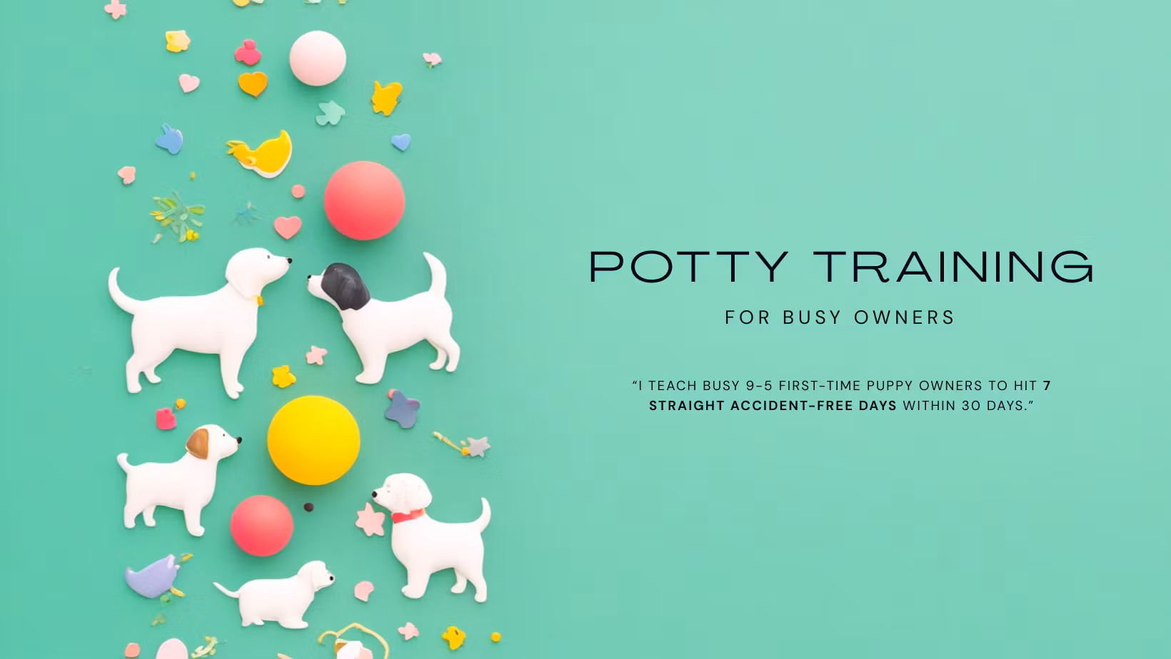 Potty Training for Busy 9–5 Puppy Owners