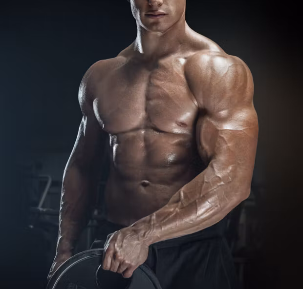 Elite Fit Collective