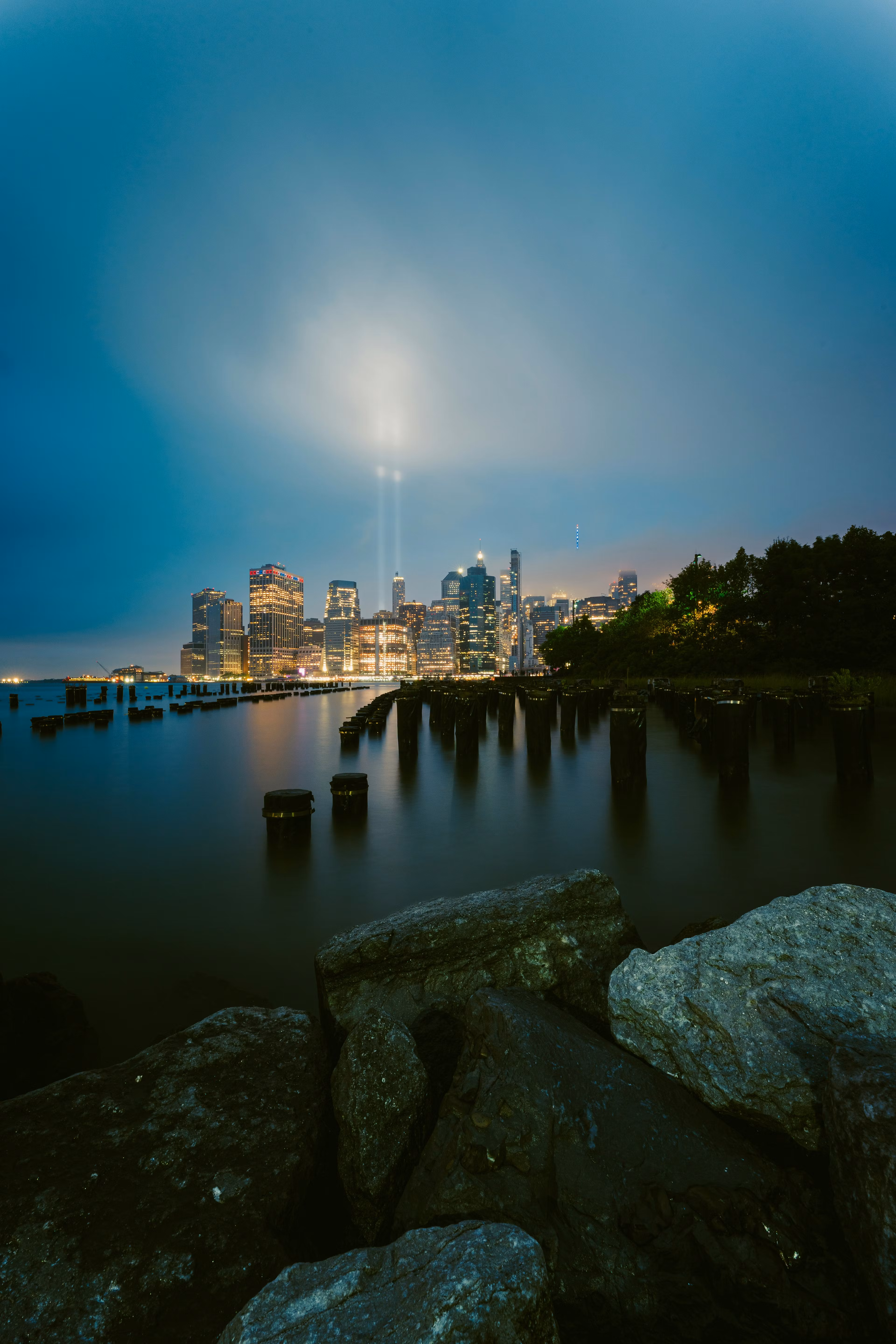 TheSlinger Rug Raptor