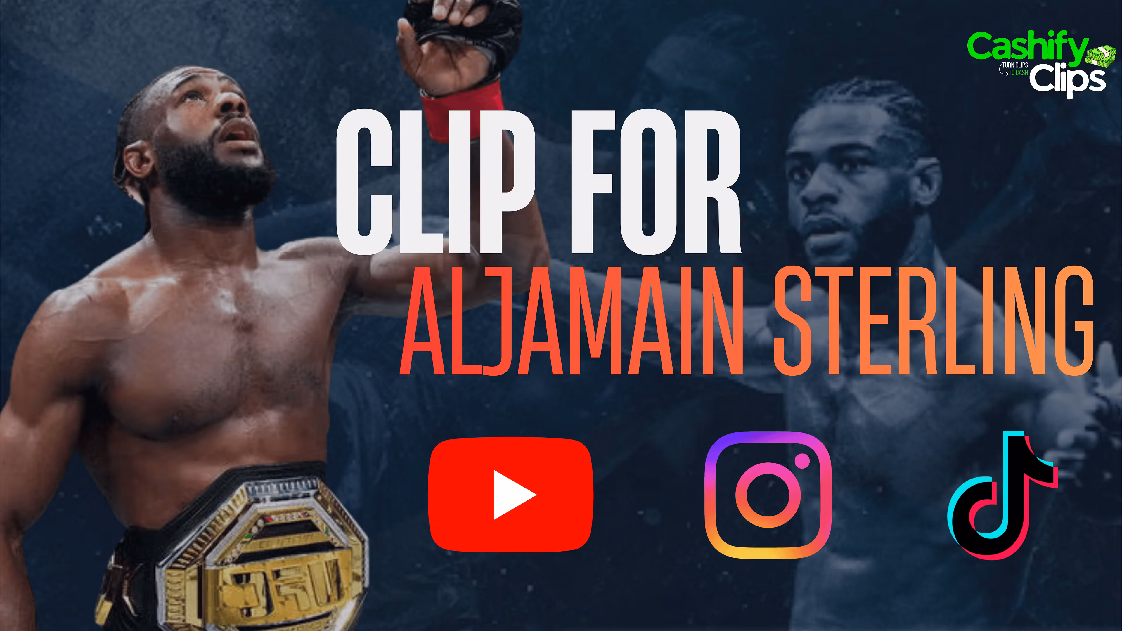 Clip for Aljamain Sterling
