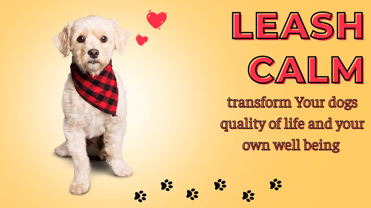 Leash Calm