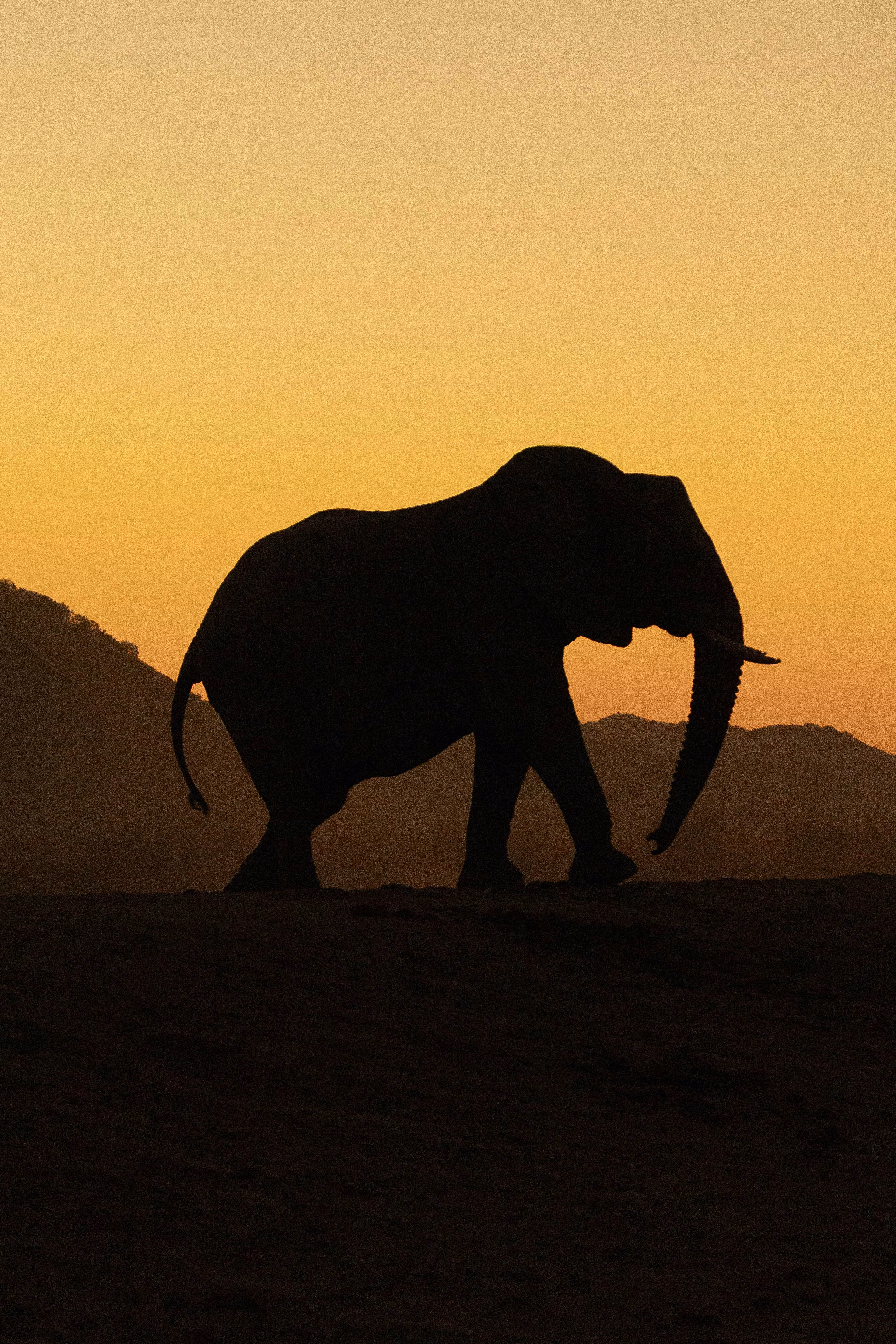 Hight quality digital products