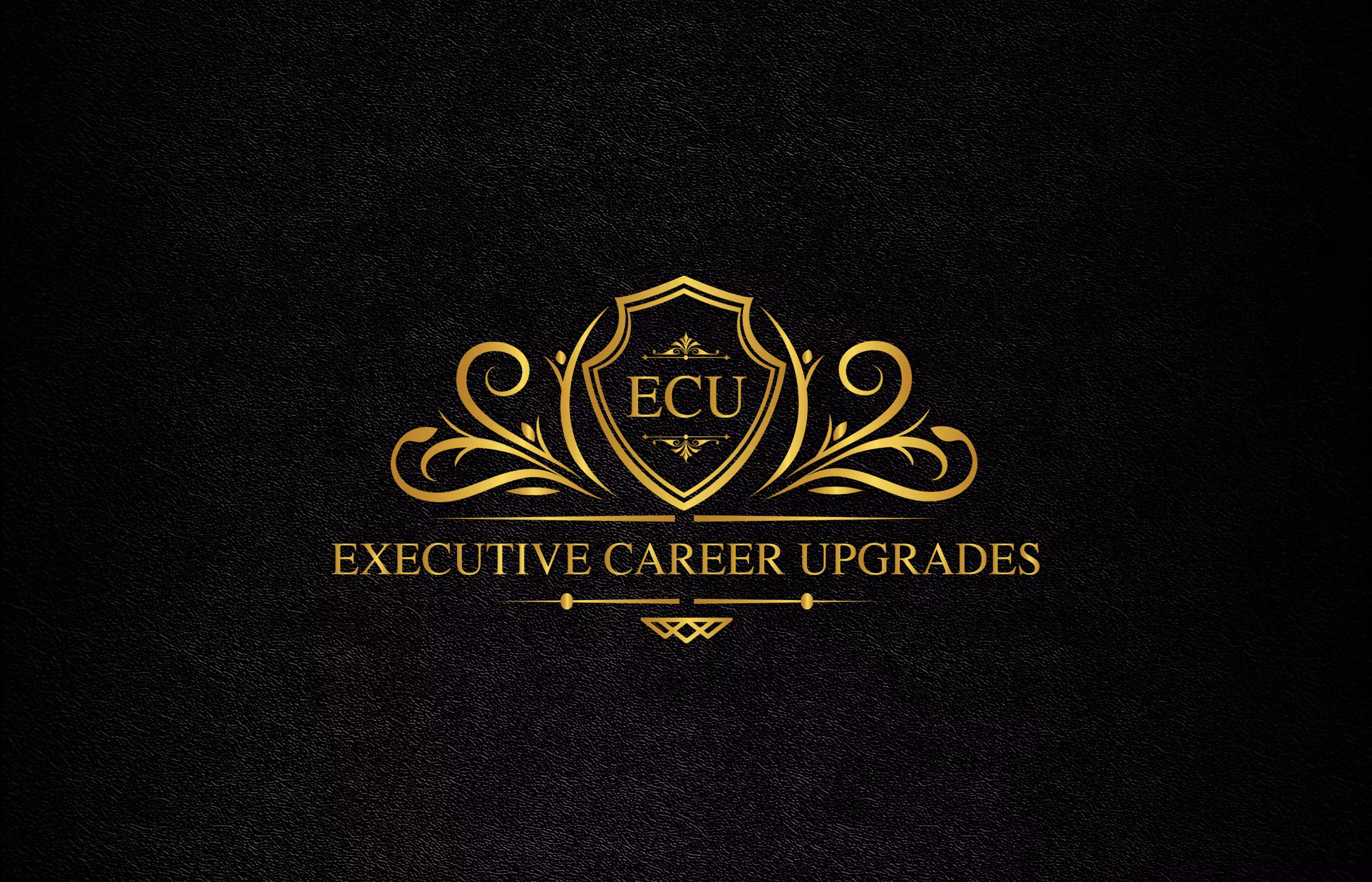 Executive Career Upgrades