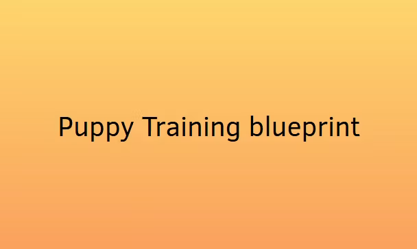 Puppy Training Blueprint