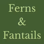Ferns and Fantails