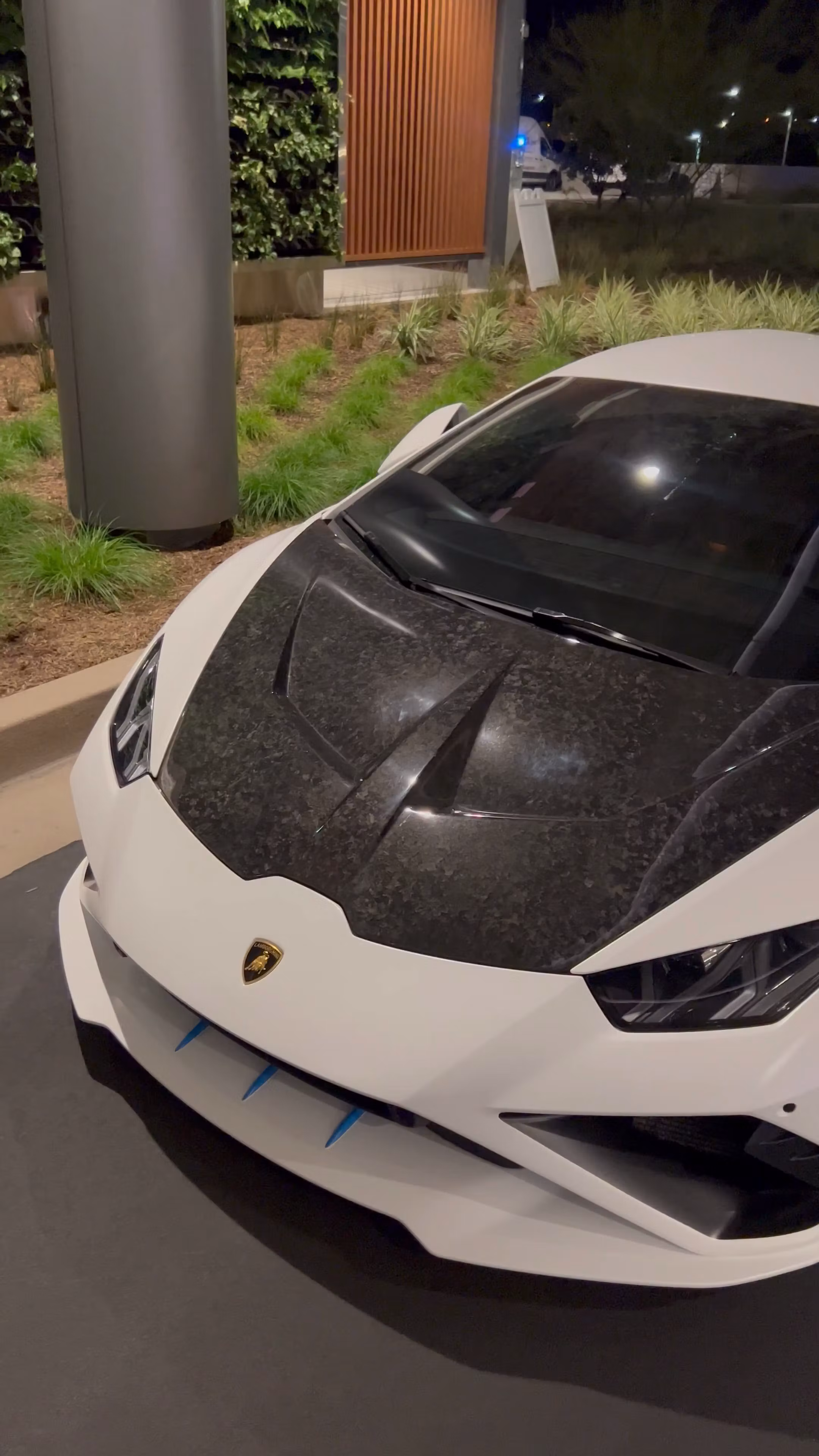 Thousands of clips/photos 