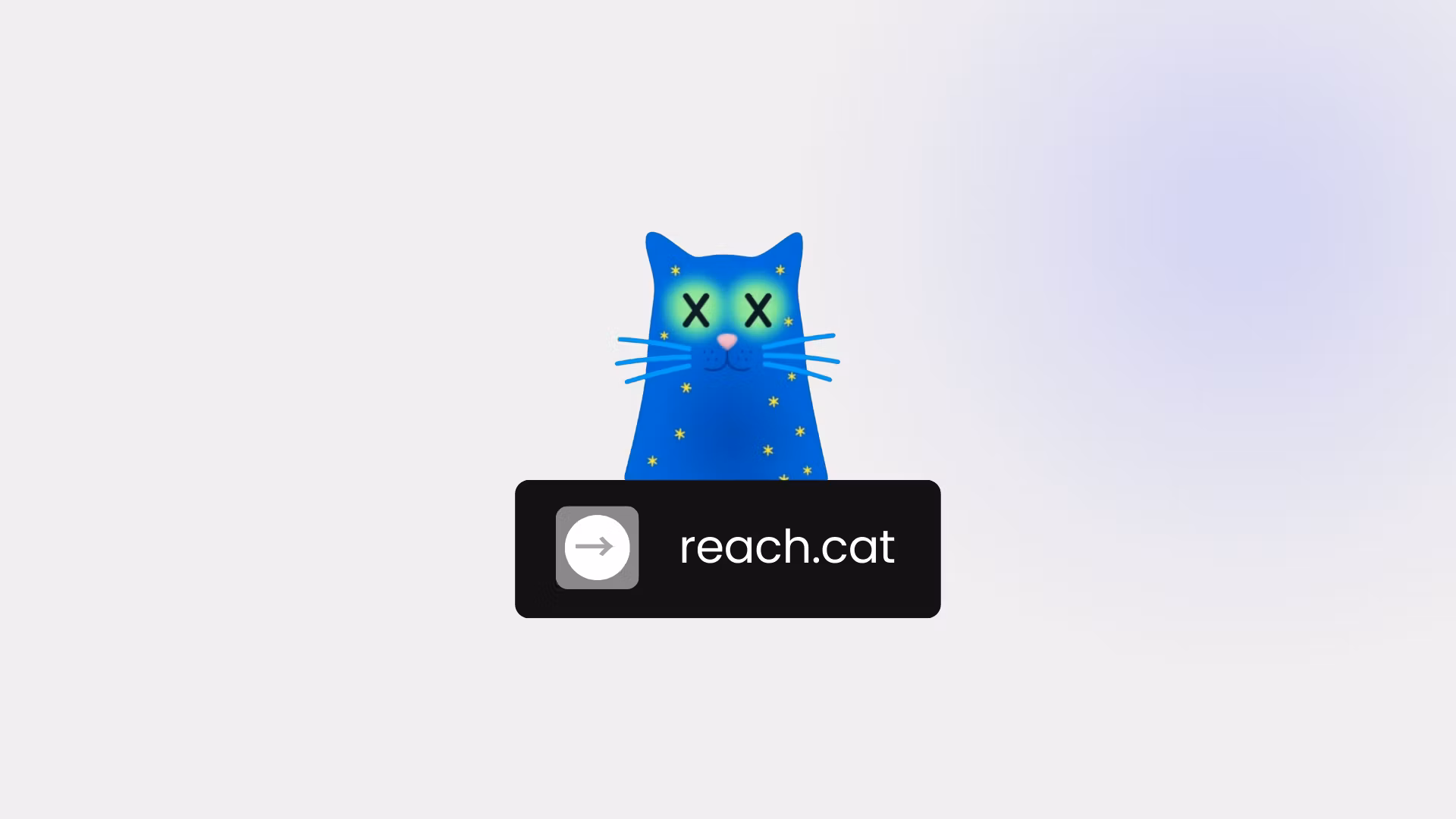 Reach.cat | Clipping Platform