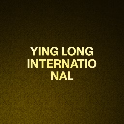 YING LONG INTERNATIONAL