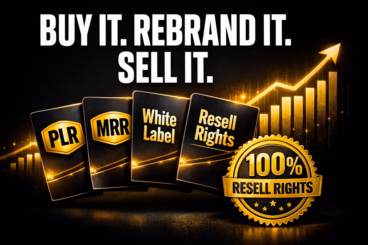PLR & MRR Reseller Vault