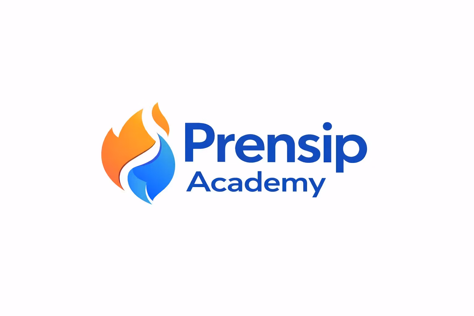 Prensip Academy