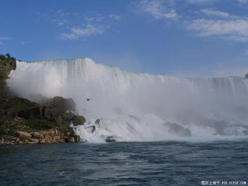 EcomSoft Solutions SOFTWARE