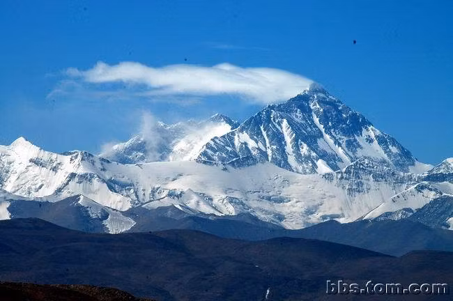 RevampResell Software Solutions SOFTWARE