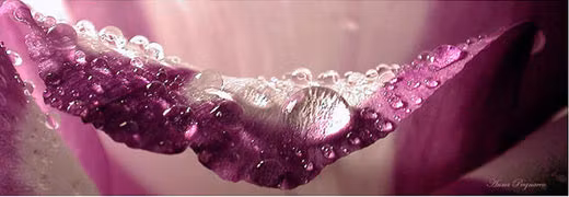 SwiftTech Resellers Hub SOFTWARE