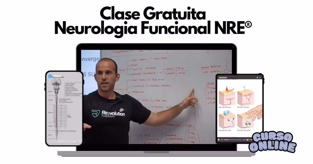 Introducción a la Neurología Funcional