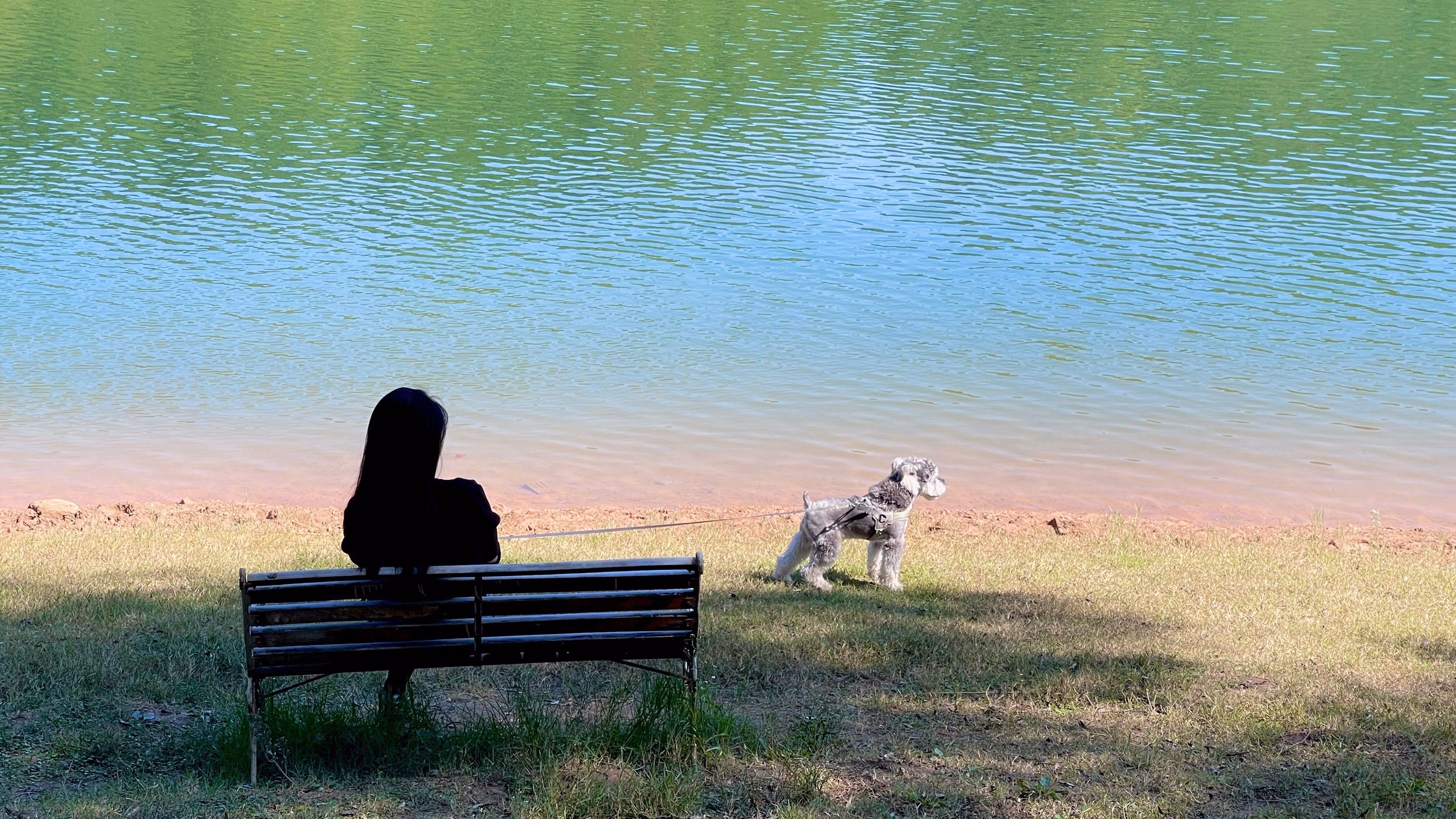 EcomSoft Solutions SOFTWARE