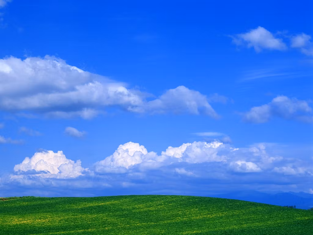 TechTreasure Resale Solutions SOFTWARE