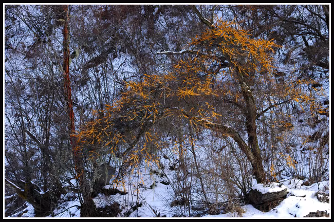 TechTrade Solutions SOFTWARE