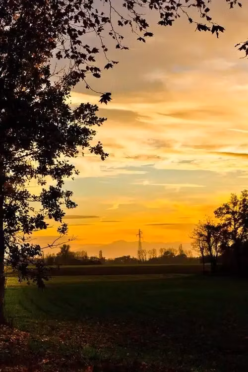 CodeCycle Solutions SOFTWARE