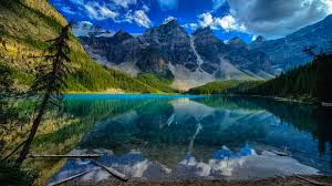 CodeWheel Resellers SOFTWARE