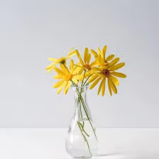 Smart Software Reselling Solutions