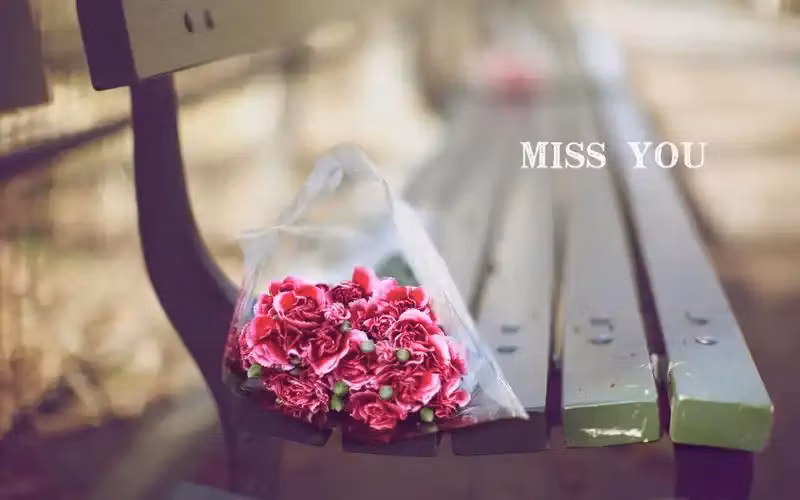 Connectly: Social Software Solutions