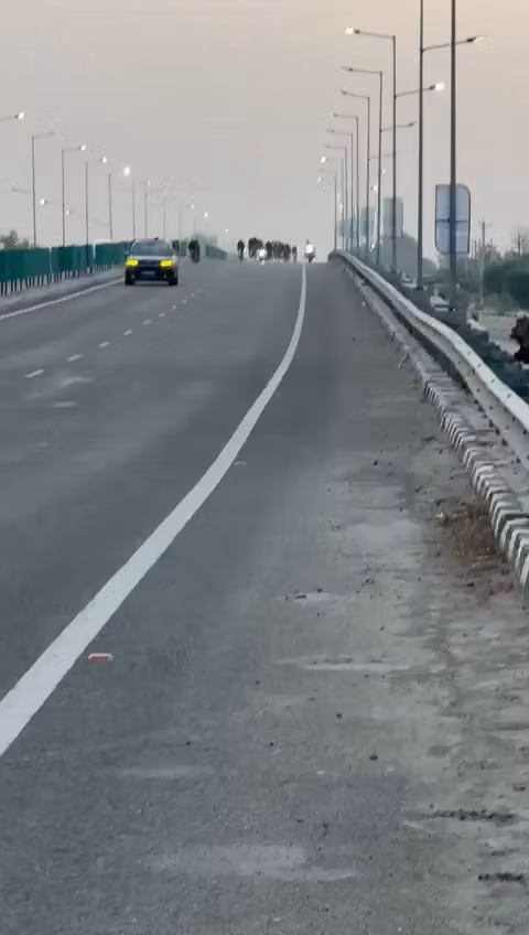 Trail Runner Knee Support