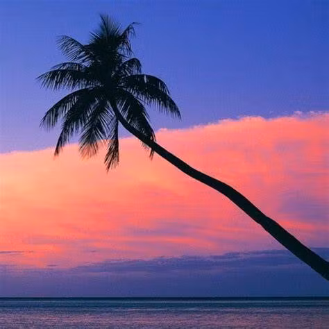 HippogriffPalette Works