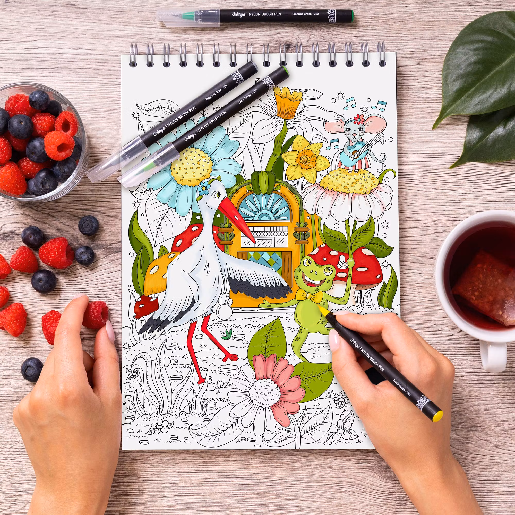 Color & Draw Book for Kids