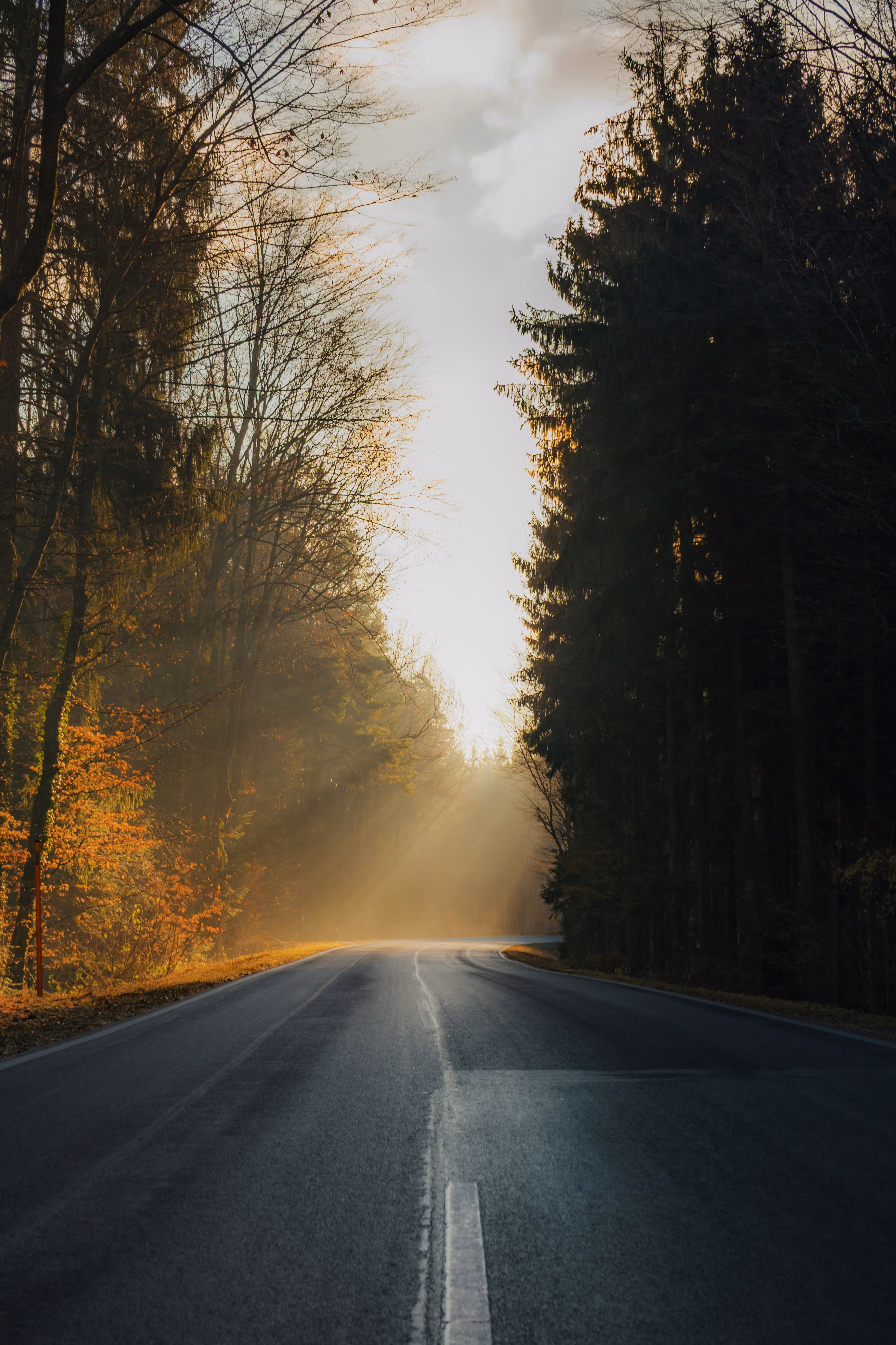 You need help find good stock