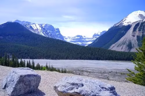 TradeMastery Coaching & Courses