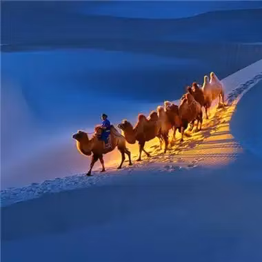 Elevate Resell Academy