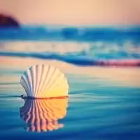 SkillResell Solutions