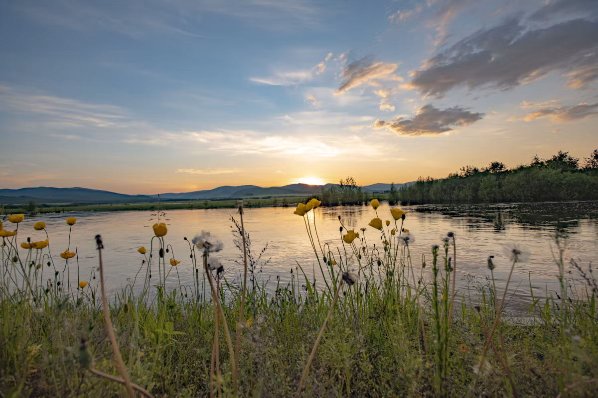 ThriveWise: Health & Growth Coaching