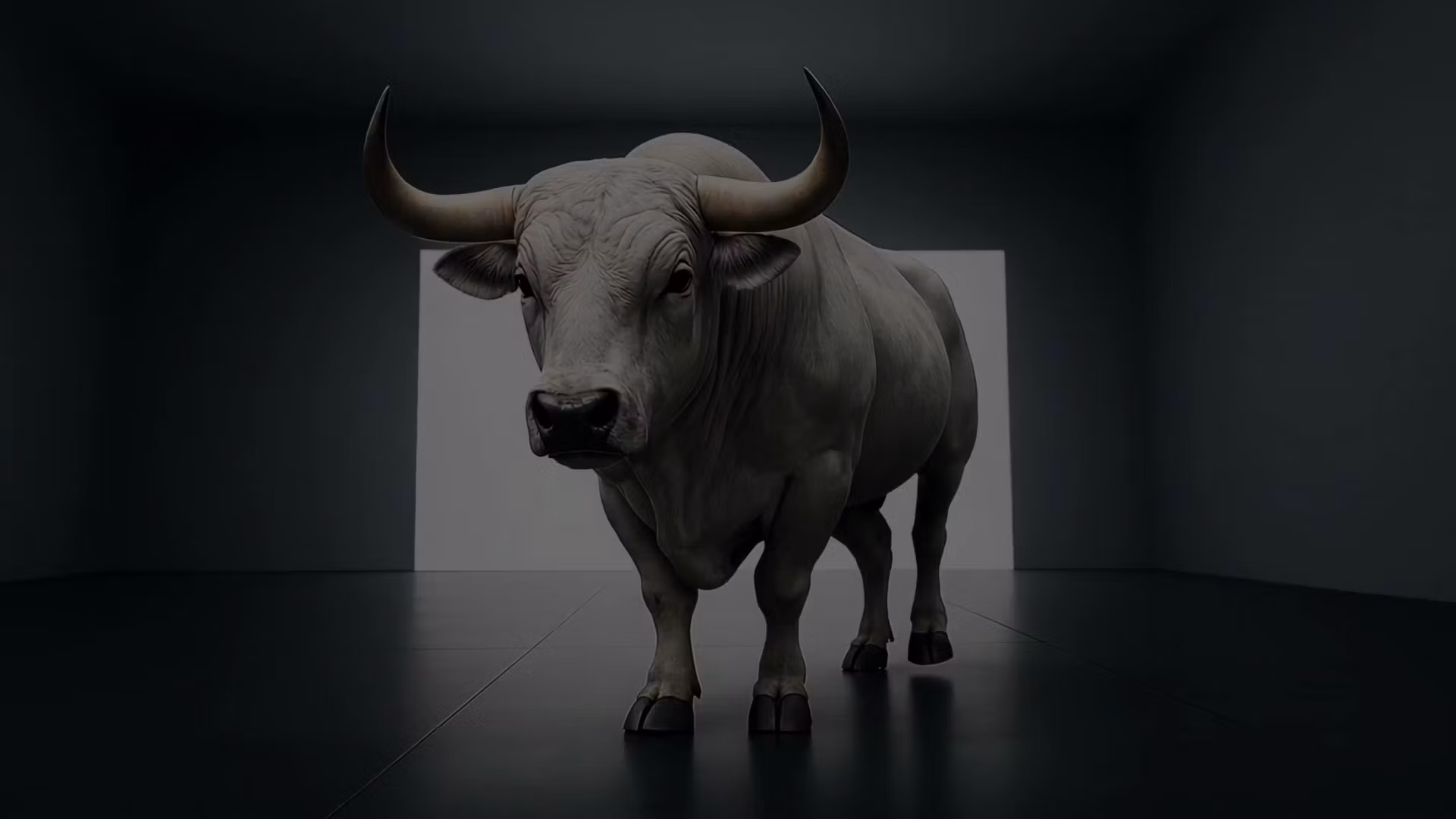 Bitcoin Junior Creator Hub 