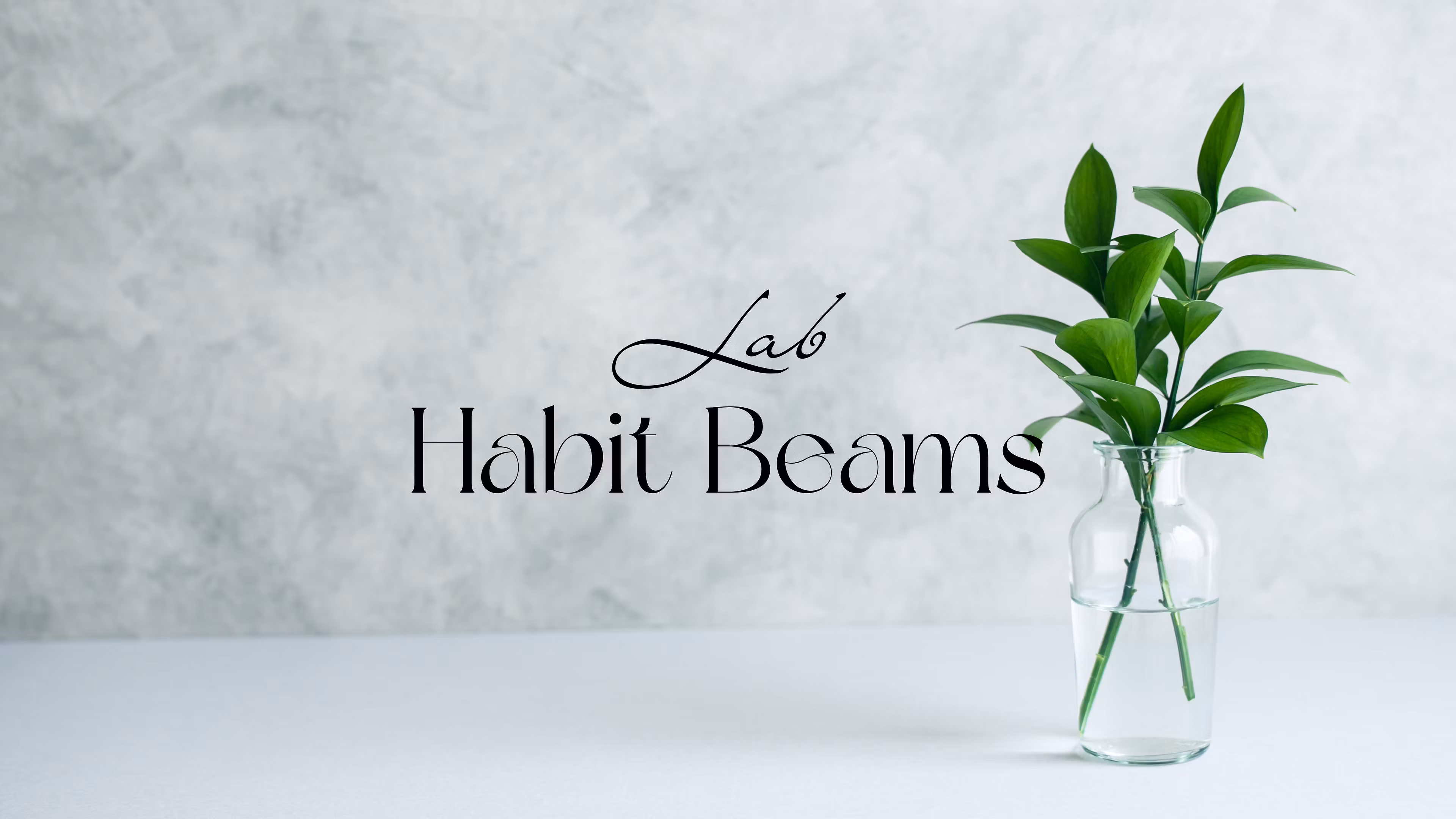 Habit Beams Lab Community