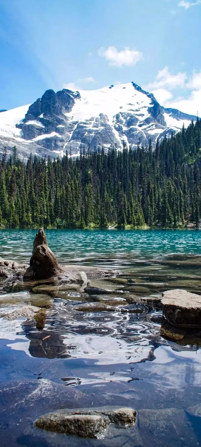 Pathway Home Coaching & Courses