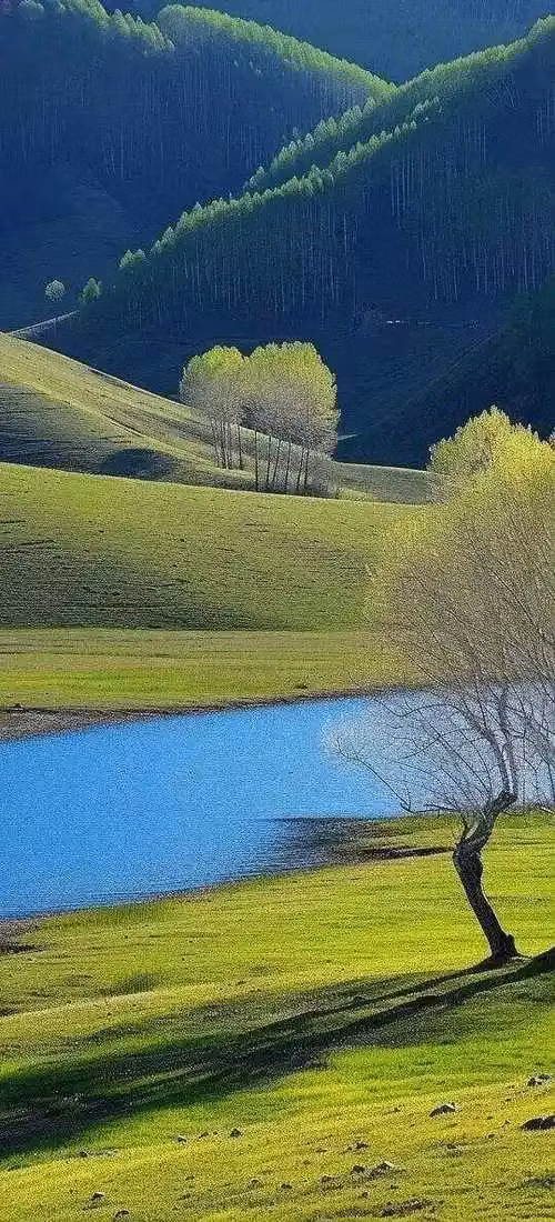 Peak Performance Coach & Courses