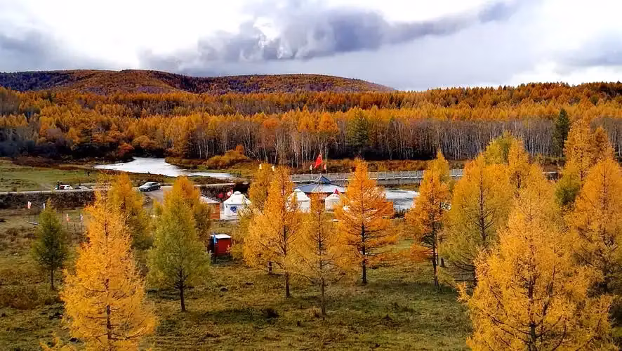 Real Estate Mastery Hub