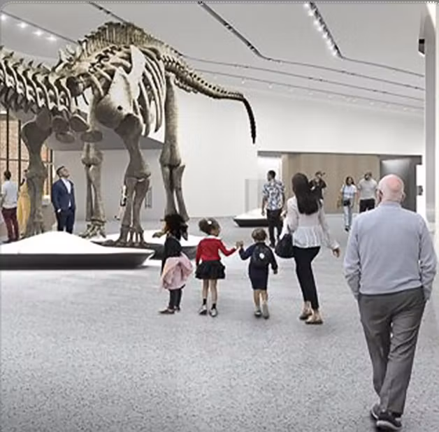 Edward Skeletrix Clips